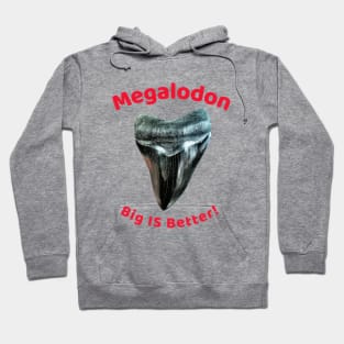 Megalodon Collectors - Big Is Better! Hoodie